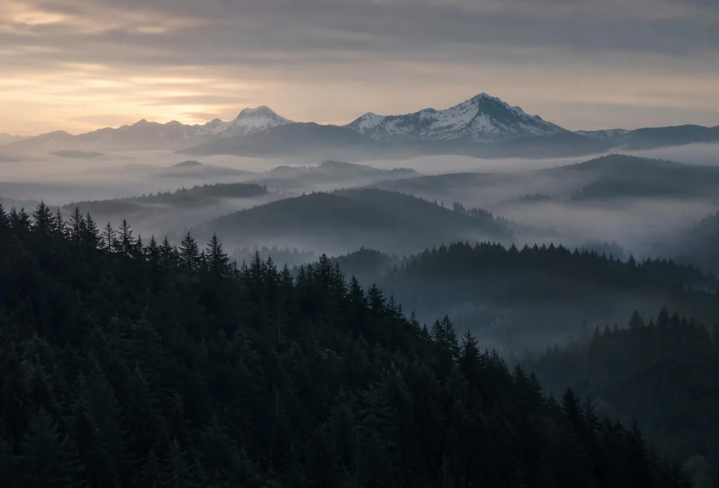 Pacific Northwest — NW Gun News Pacific Northwest forest ridge line at first light