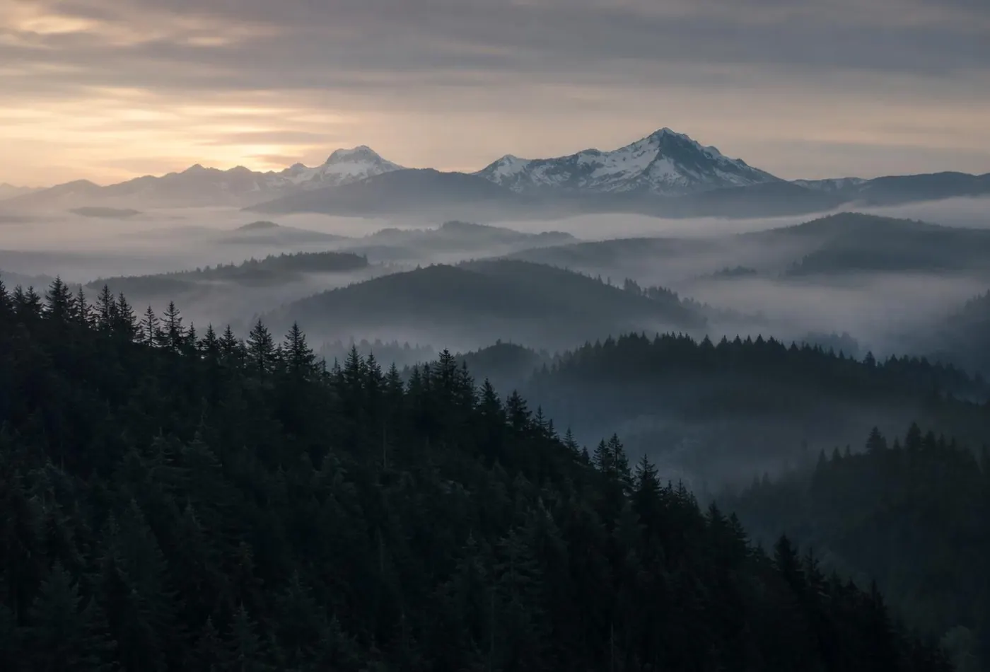 Pacific Northwest — NW Gun News Pacific Northwest forest ridge line at first light